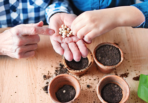 Go to a gardening store, and let your child help you choose several fruit and vegetable seed packets.