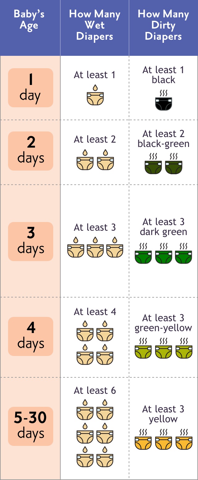 Diaper chart shows how many wet and dirty diapers your baby should have from Day 1 to Day 30.
