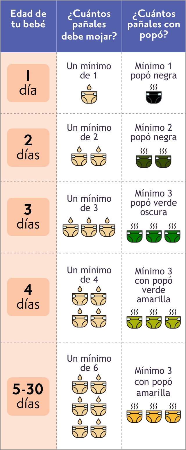 La tabla de pañales muestra la cantidad de pañales que tu bebé debe mojar y ensuciar del día 1 al 30. Ve la descripción completa bajo el encabezado Tabla de pañales.